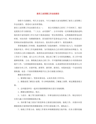 新员工试用期工作总结报告 