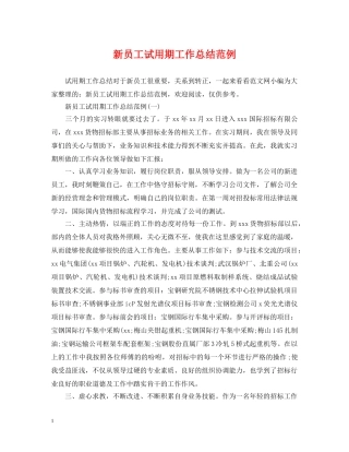 新员工试用期工作总结范例 