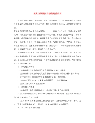 新员工试用期工作总结报告怎么写 