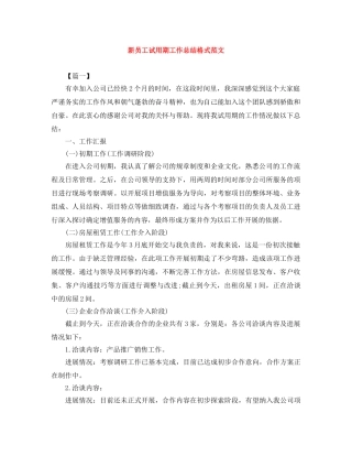 新员工试用期工作总结格式范文 