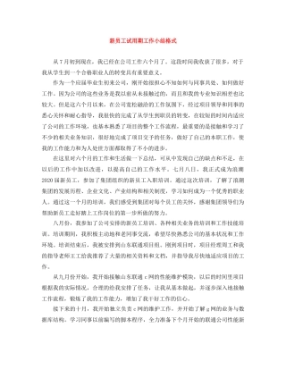 新员工试用期工作小结格式 