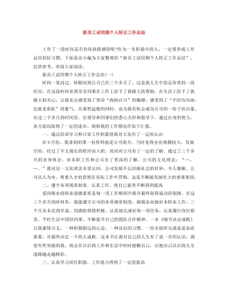 新员工试用期个人转正工作总结 