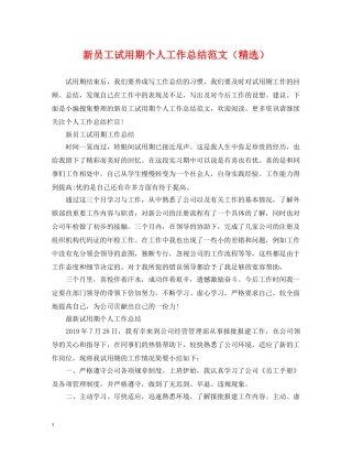 新员工试用期个人工作总结范文（精选） 