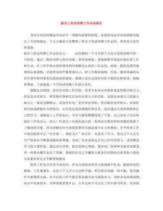 新员工的试用期工作总结报告 