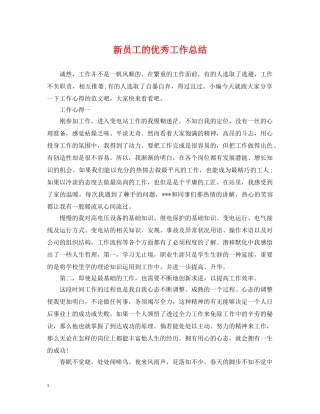 新员工的优秀工作总结 