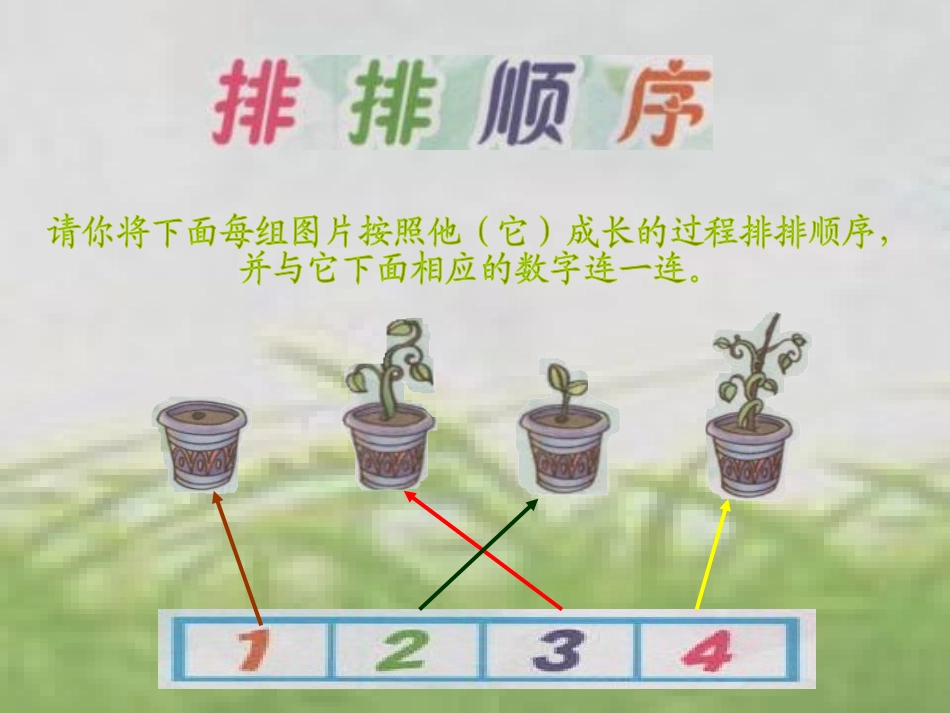 排排顺序课件_第2页
