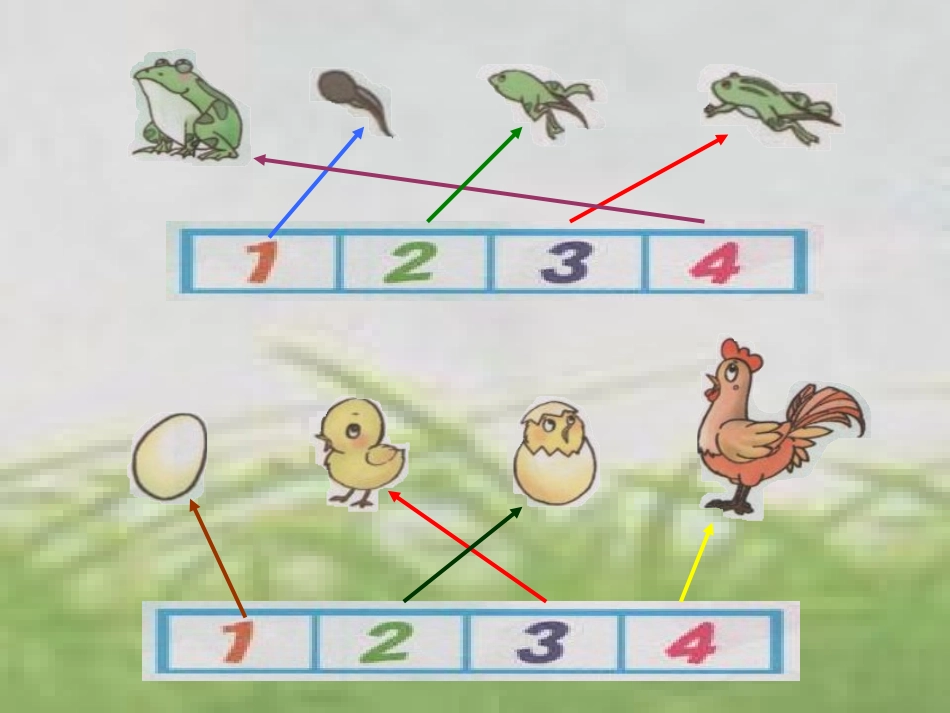 排排顺序课件_第3页