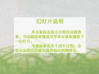排排顺序课件