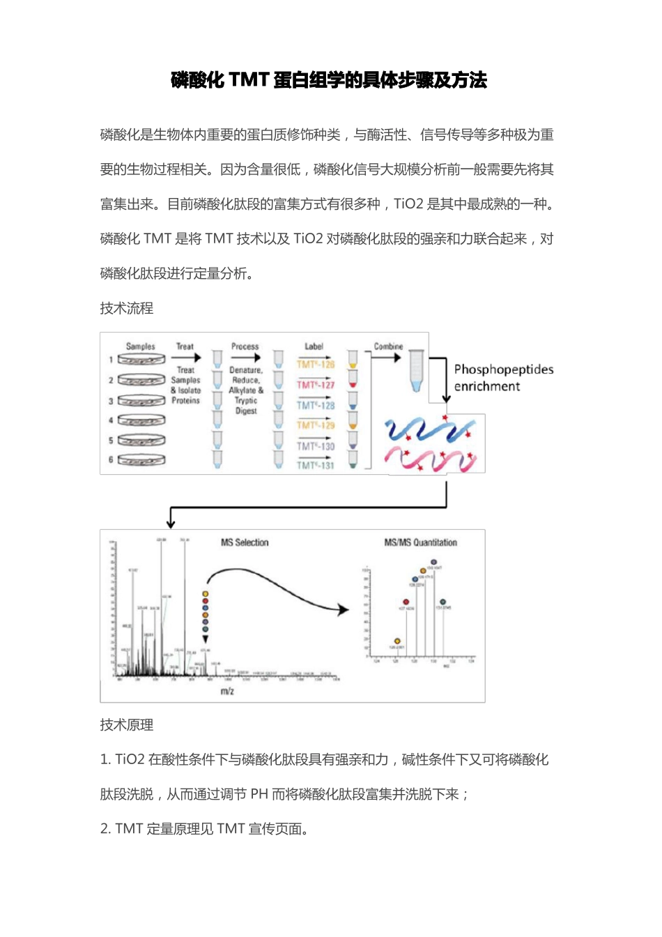 磷酸化TMT蛋白组学的具体步骤及方法_第1页