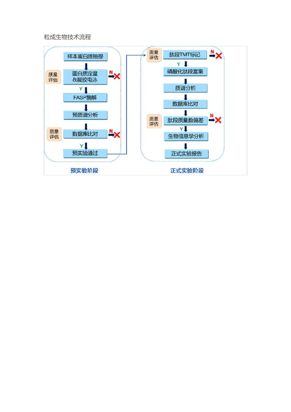 磷酸化TMT蛋白组学的具体步骤及方法_第2页