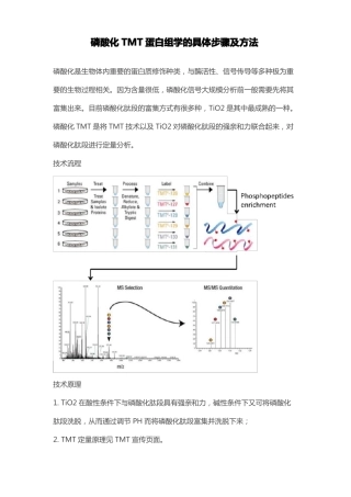 磷酸化TMT蛋白组学的具体步骤及方法