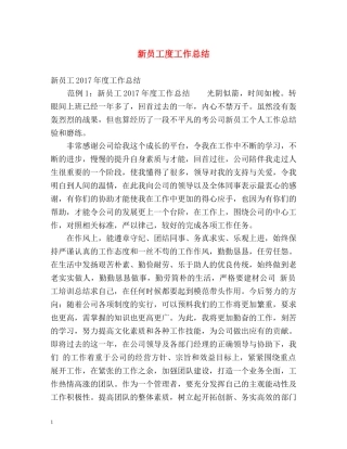 新员工度工作总结 