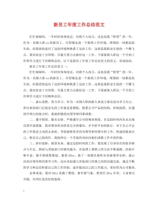 新员工年度工作总结范文 