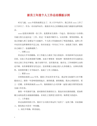 新员工年度个人工作总结模板示例 