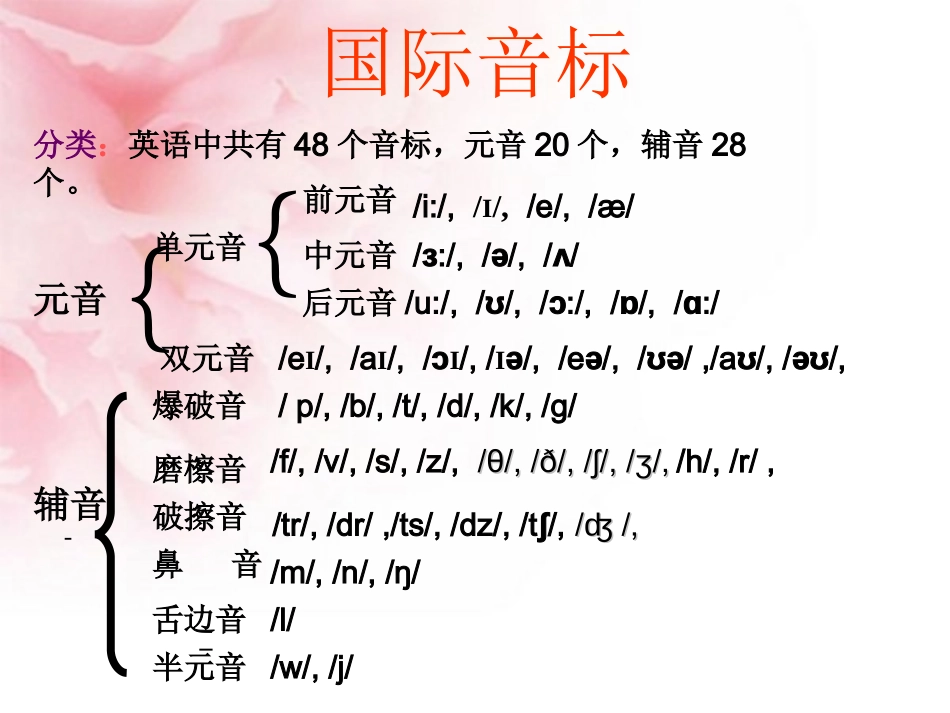 初一英语元音音标教学课件（共51张）_第3页