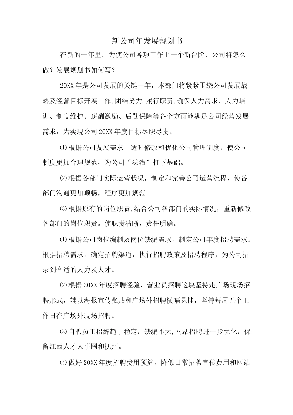 新公司年发展规划书_第1页