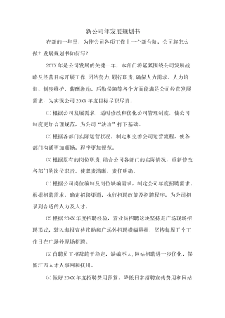 新公司年发展规划书