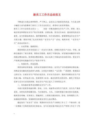 新员工工作月总结范文 