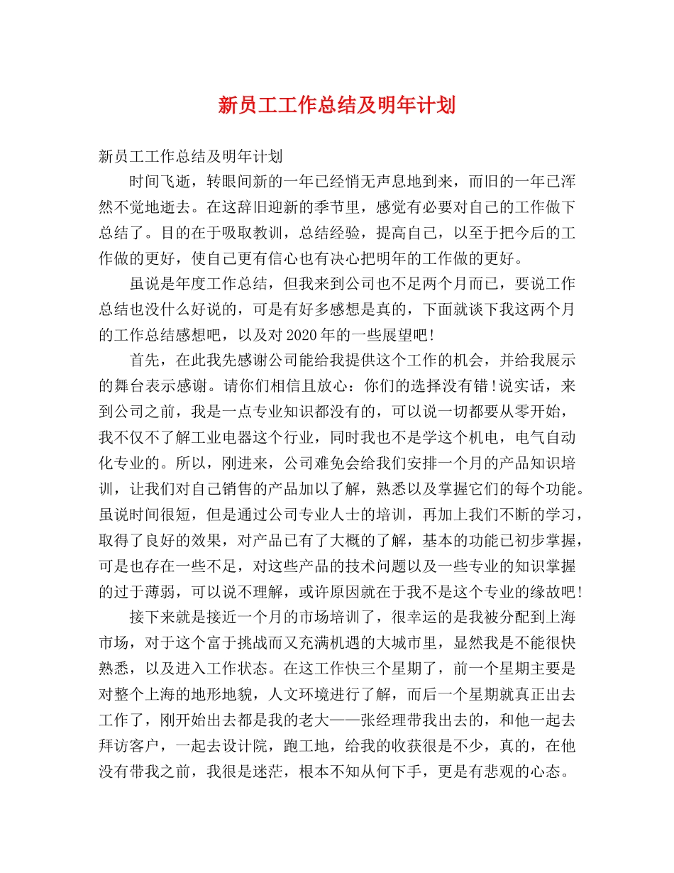 新员工工作总结及明年计划 _第1页