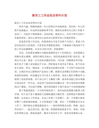 新员工工作总结及明年计划 