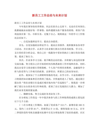 新员工工作总结与未来计划 