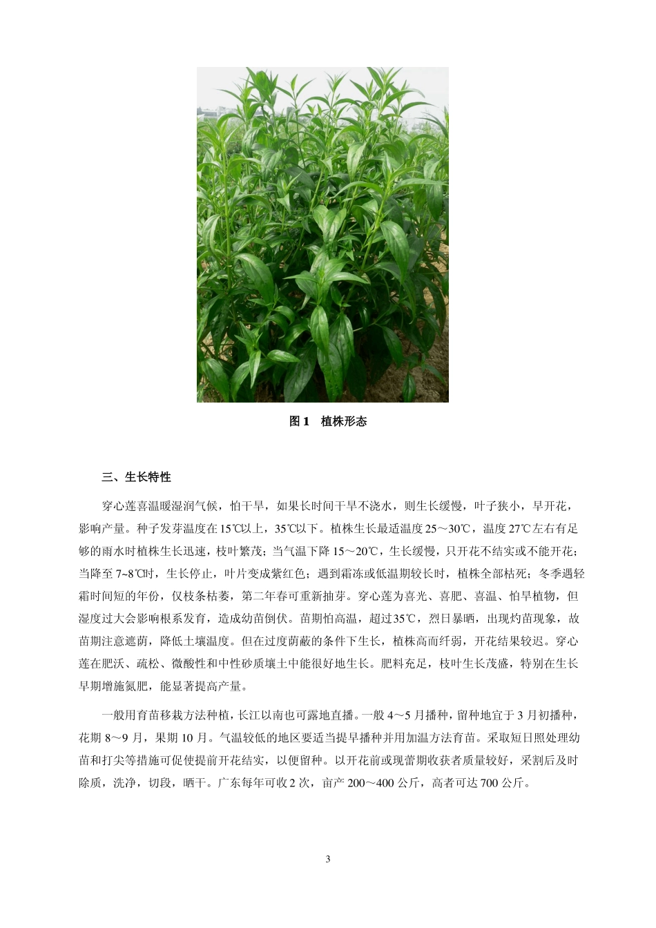 穿心莲生产实用技术_第3页