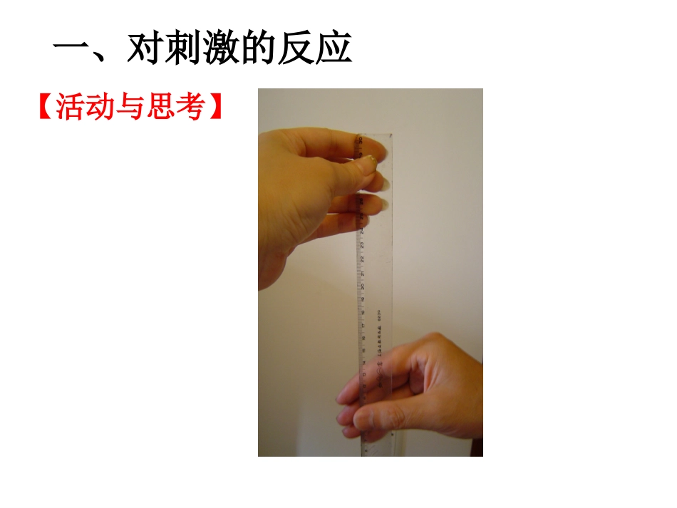 神经系统(第课时)_第2页