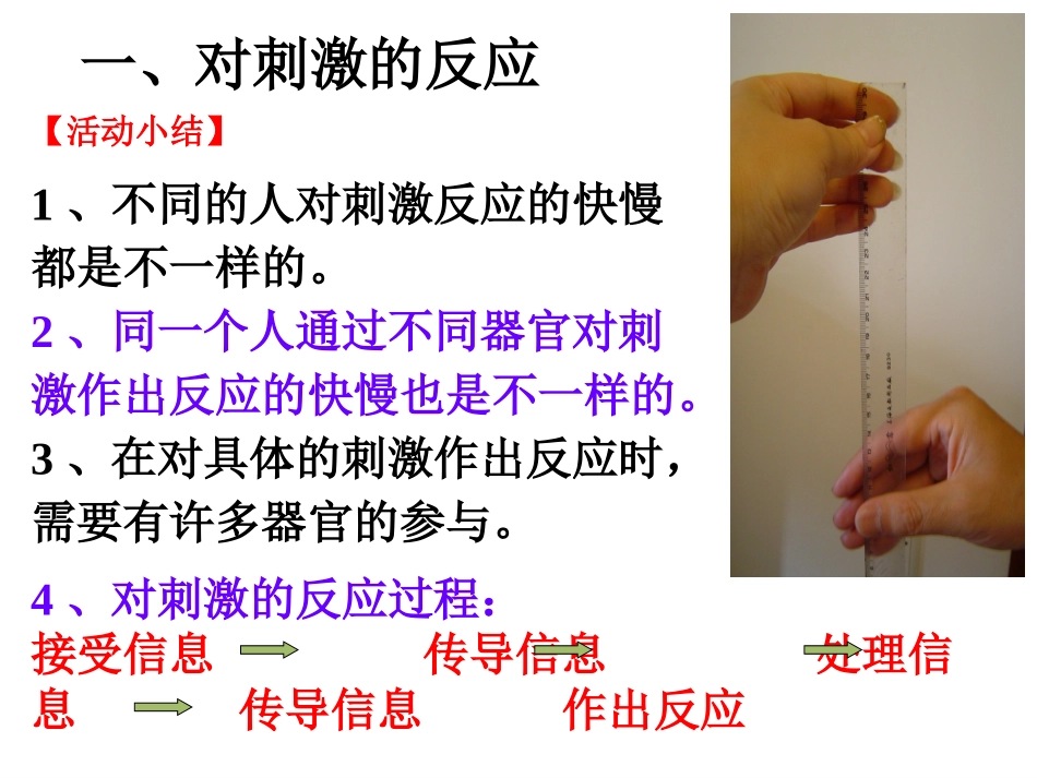 神经系统(第课时)_第3页