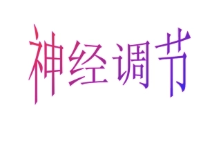 神经系统(第课时)