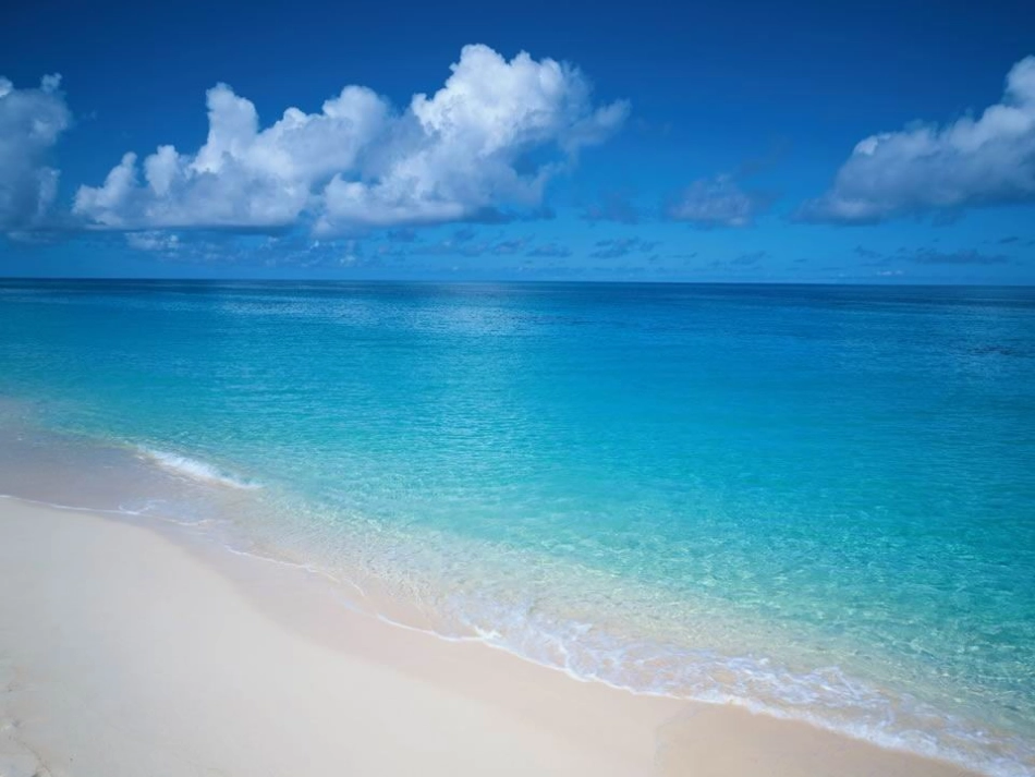 第七板块《浪花》_第2页