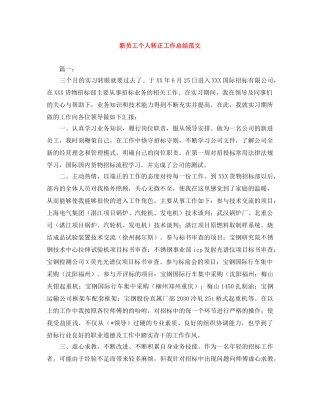 新员工个人转正工作总结范文 
