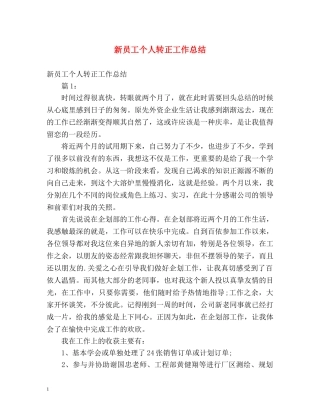 新员工个人转正工作总结 (2) 