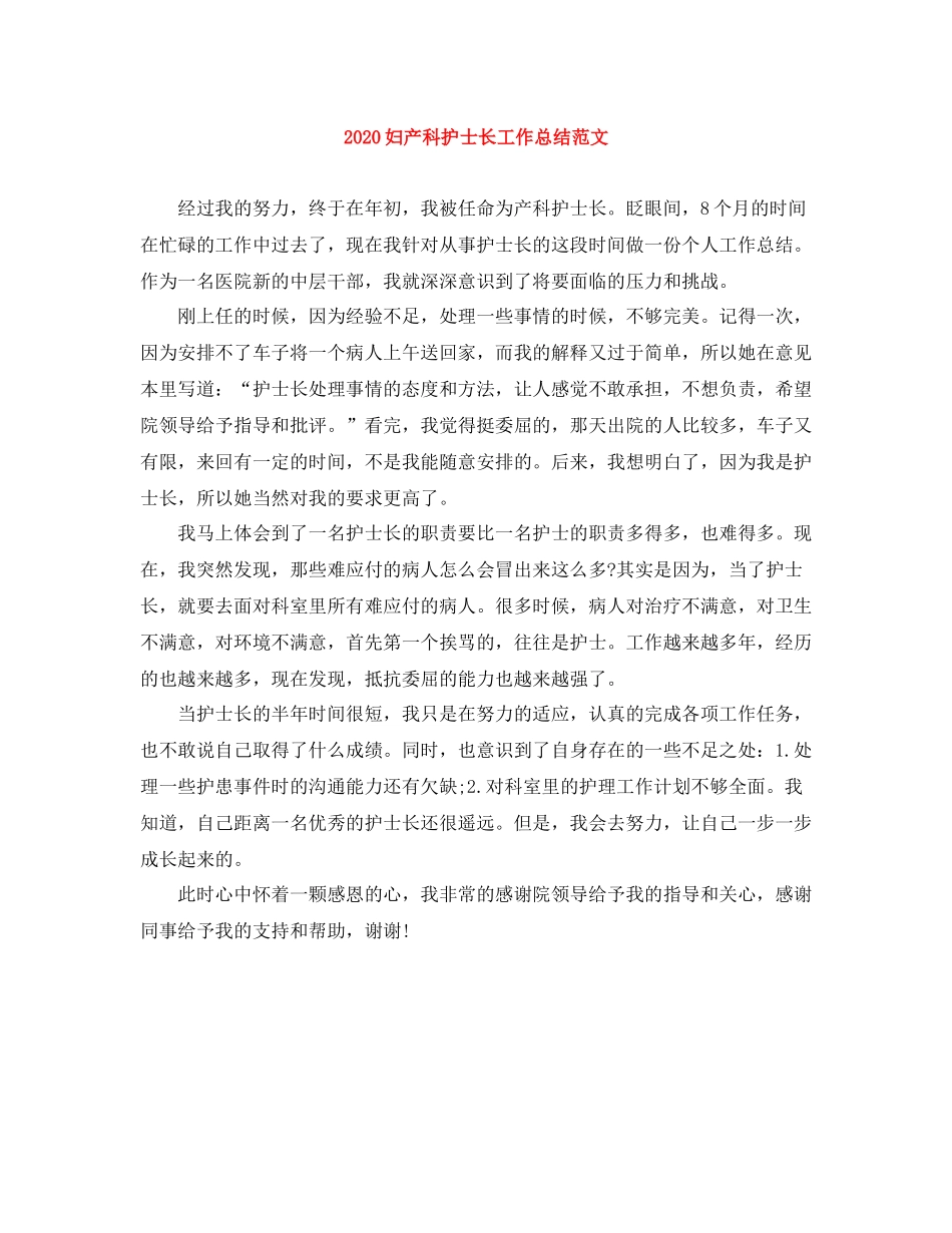 妇产科护士长工作总结范文_第1页