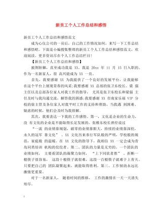 新员工个人工作总结和感悟 