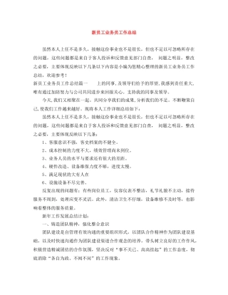 新员工业务员工作总结 