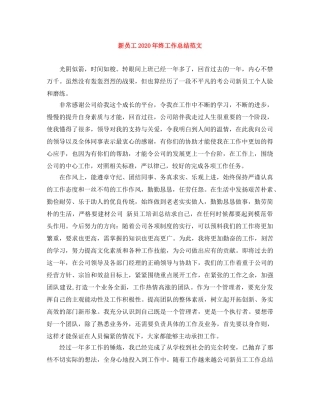 新员工2020年终工作总结范文 