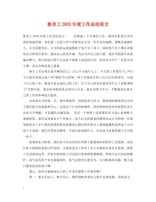 新员工20XX年度工作总结范文 