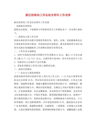 新区招商局工作总结及明年工作安排 