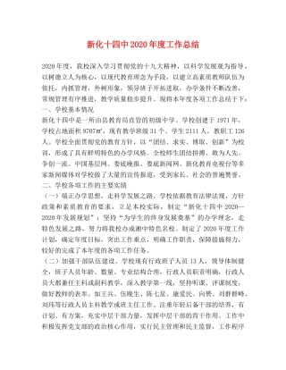 新化十2020年度工作总结 
