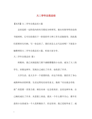 大二学年自我总结22