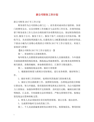 新公司财务工作计划 