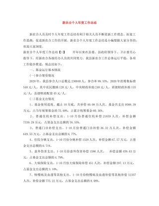 新农合个人年度工作总结 