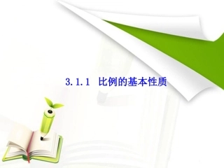 比例的基本性质 (2)