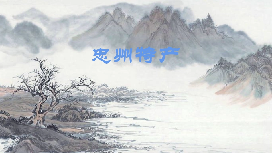 善广小学张正江_第2页