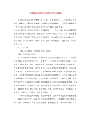 公司综合部年度工作总结及下年工作思路