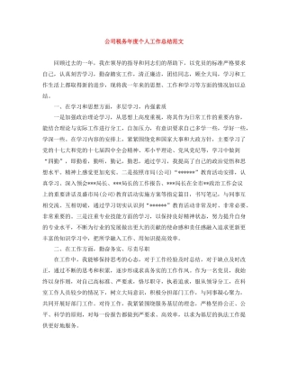 公司税务年度个人工作总结范文