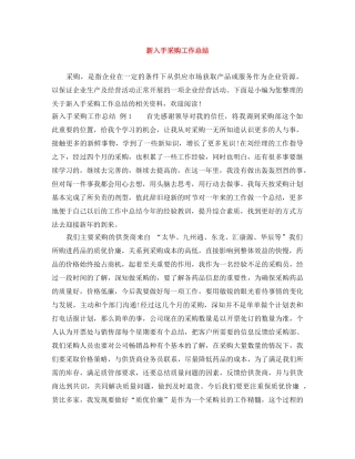 新入手采购工作总结 