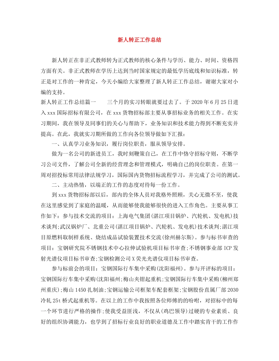 新人转正工作总结 _第1页