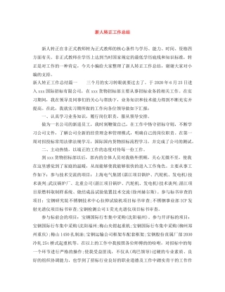 新人转正工作总结 
