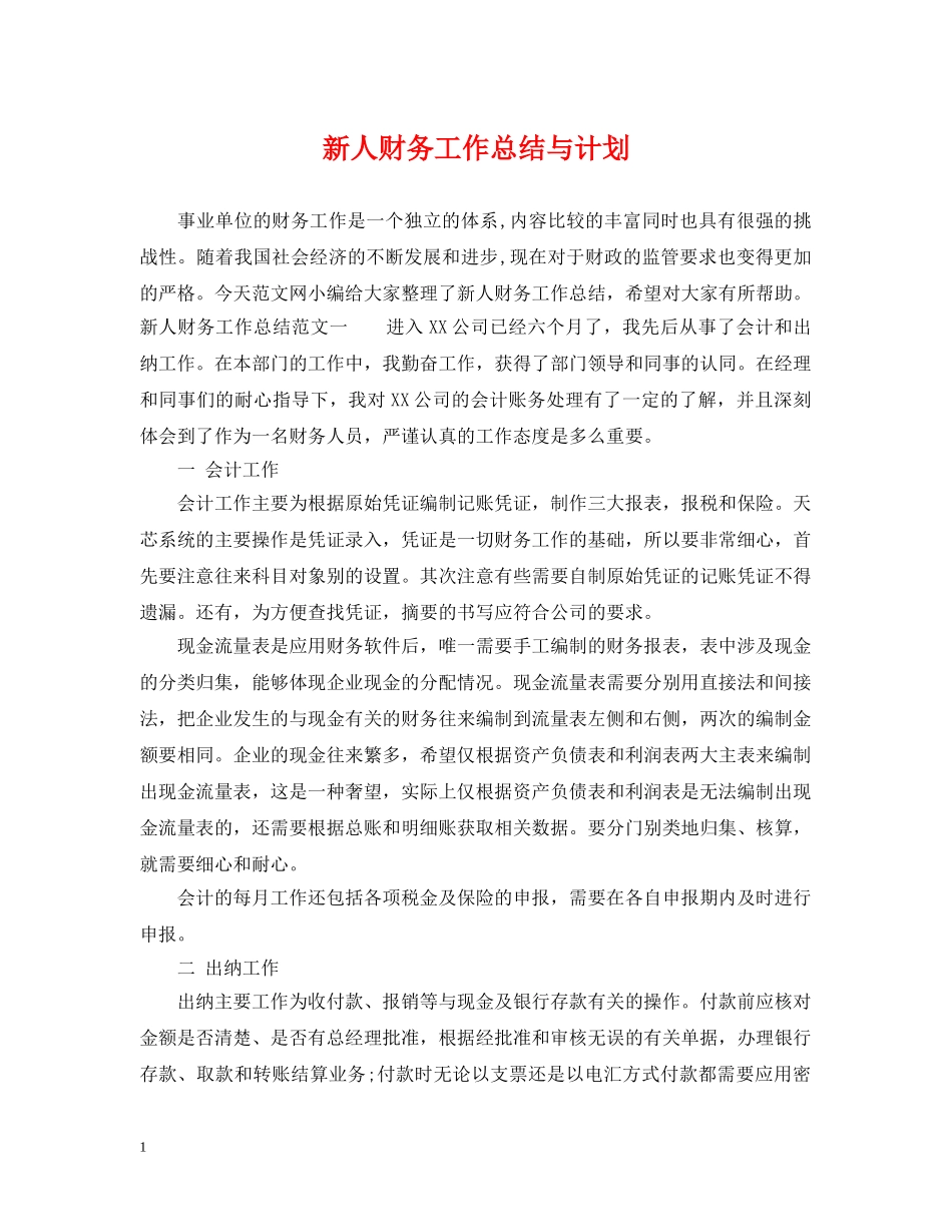 新人财务工作总结与计划 _第1页
